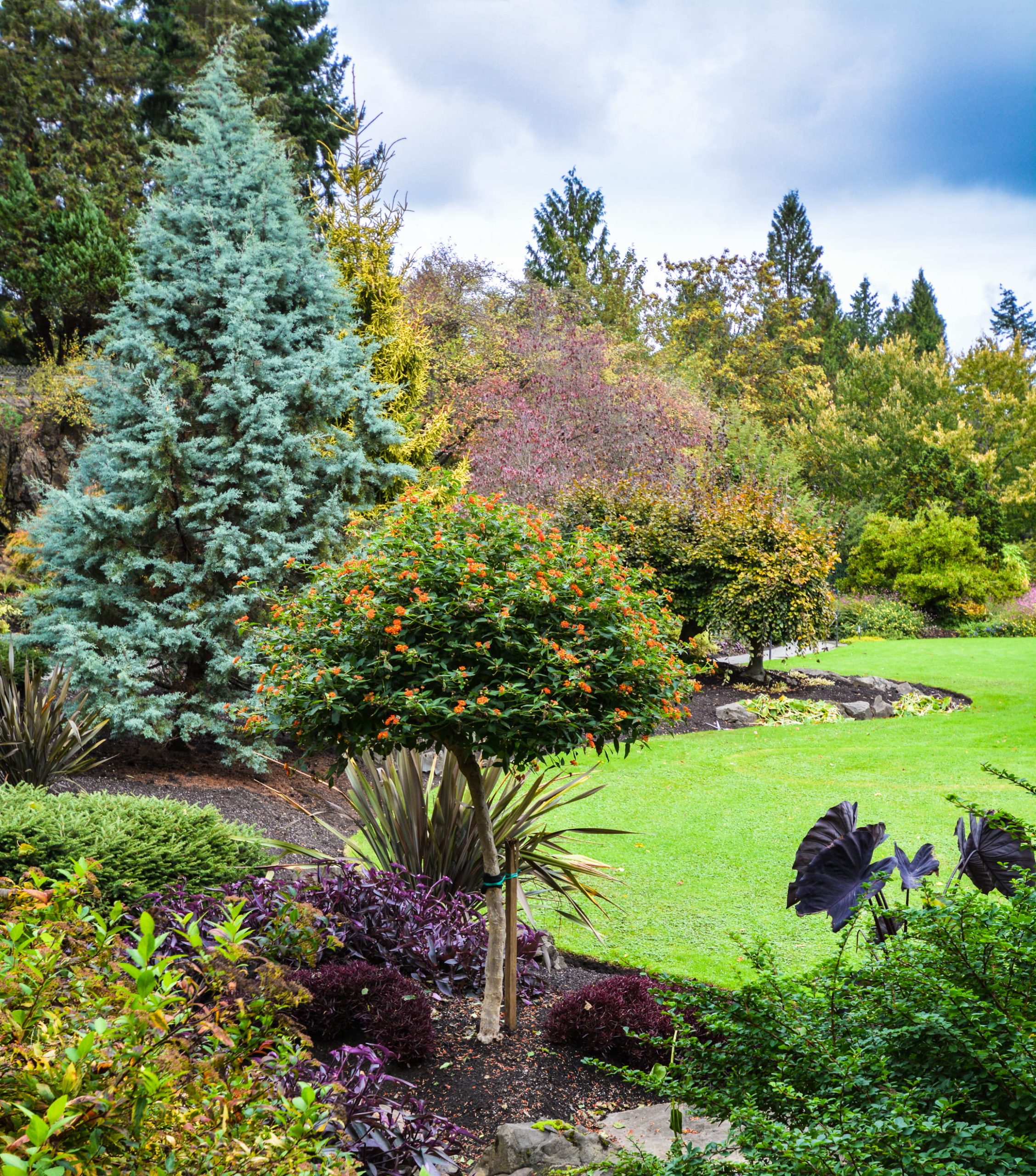 Professional lawn mowing and edging across Auckland