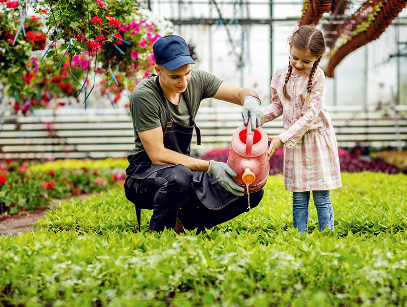 Professional garden care across Auckland