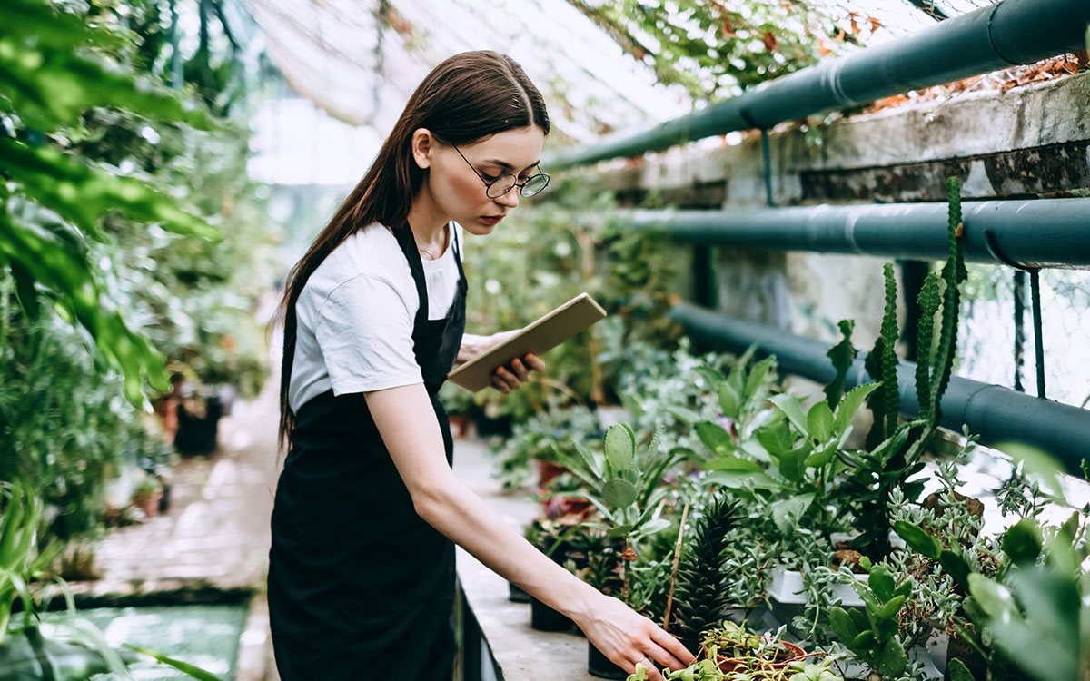 Odd Jobs we have you covered