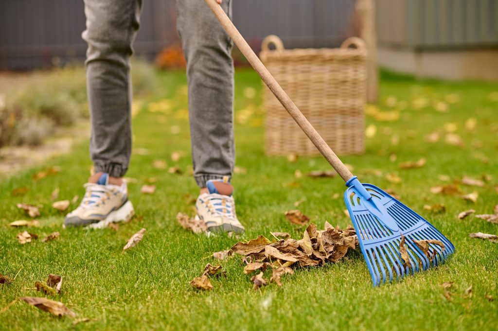 Garden clean-ups that transform overgrown outdoor spaces